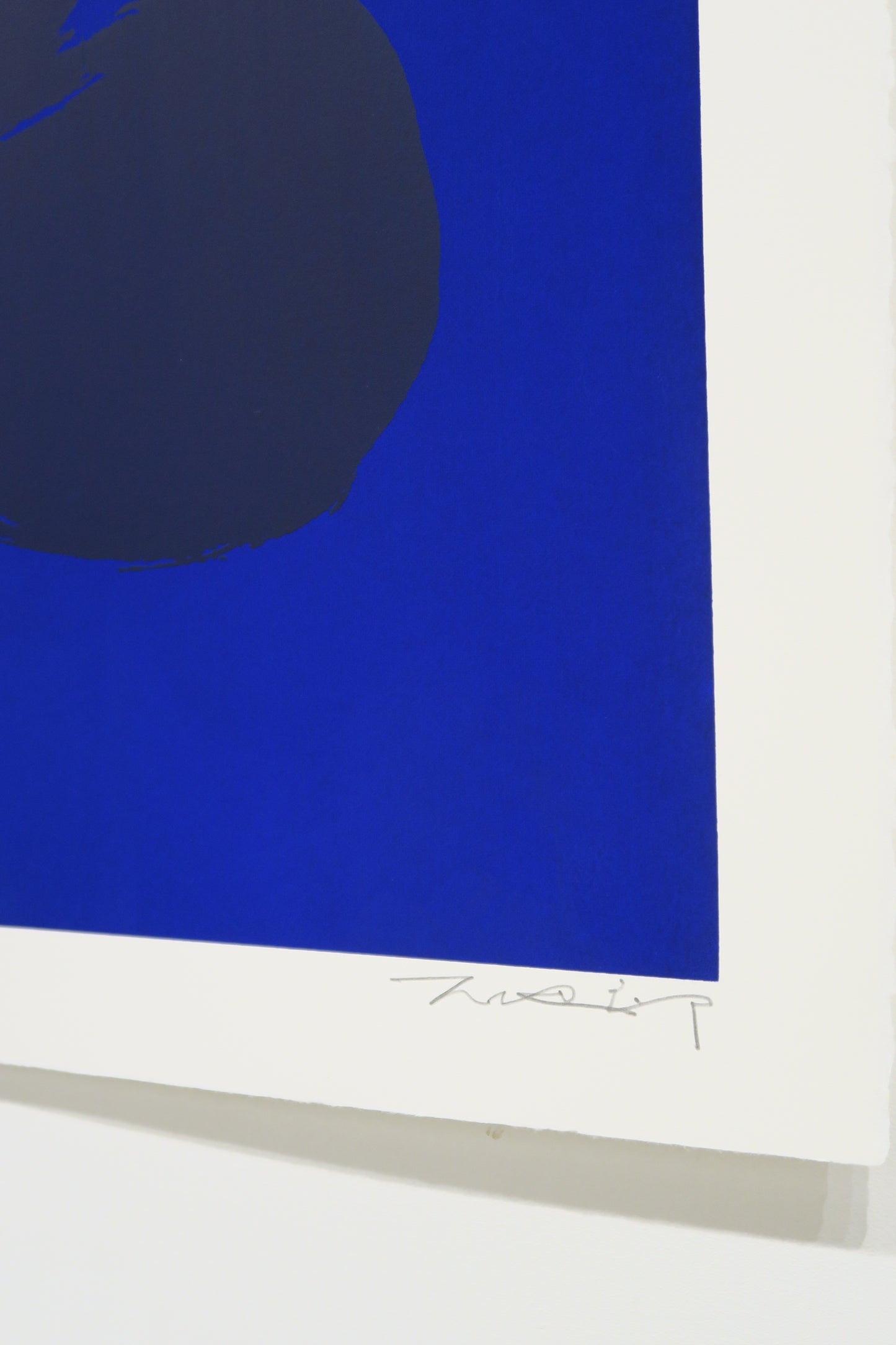 Daichiro Shinjo - DARUMA 2024 (BLUE ON BLUE)